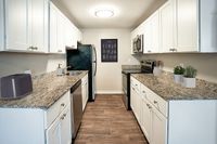 Modern kitchen with sleek granite countertops, stainless steel appliances, and ample cabinet space for a stylish cooking experience.