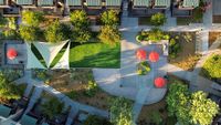 Bird's Eye Of Courtyard