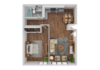 1 bed Floorplan