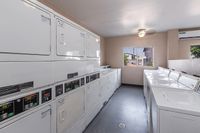 Bright and clean communal laundry room with modern washing and drying machines, featuring a large window for natural light.