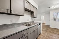 Contemporary kitchen featuring sleek grey cabinetry, double stainless steel sink, and modern appliances, complemented by elegant wood flooring and open layout.