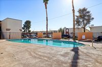 Inviting outdoor pool area with tall palm trees and a sunlit concrete deck, perfect for relaxation and enjoyment.