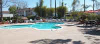 pool area with lounge seating