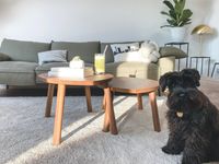 Living Room with Black Dog