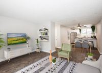 Living room and kitchen