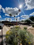 Beautiful landscaping at Village Apartments