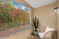patio at Bridge Lane with a cactus, outdoor chair and table