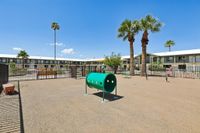 dog park solaris at tucson