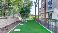 Open space for pets to play