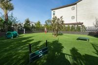 A playful space for pets Altura at the Groves Dog Park | Whittier, CA Apartments | Apartments in Whittier