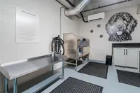Modern pet-friendly apartment | Caroline at Memorial | Houston, Texas