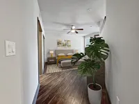 Inviting bedroom with modern decor, wooden flooring, and a potted plant adding a touch of nature.