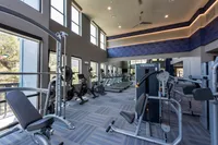 Modern and spacious fitness center with large windows, cardio machines, and strength training equipment offering a bright, energetic workout environment.