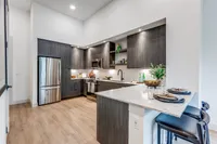 Modern kitchen with sleek dark wood cabinetry, stainless steel appliances, and chic breakfast bar seating.
