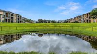 Community pond surrounded by lush landscape and greenbelt