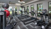 Modern fitness center featuring treadmills, an elliptical machine, and exercise balls, with bright windows overlooking a lush apartment community.