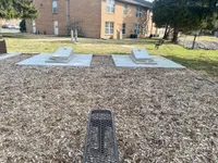 Cornhole Boards