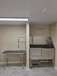 Pet Wash & Grooming