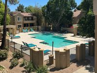 Inviting apartment complex with a sunlit swimming pool, surrounded by lush greenery and comfortable lounge chairs.