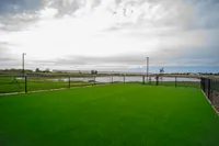 dog park