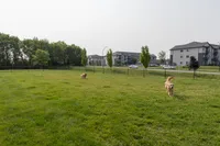 Dog Park at Providence Pointe - Johnston, IA