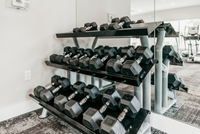 Three tier weight rack, mirror