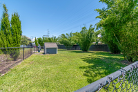 Dog park with lush greenery and a dog house