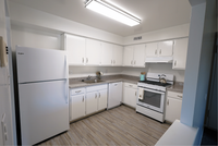 Delaire Landing Kitchen