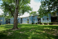 Arbor Lane Neighborhood
