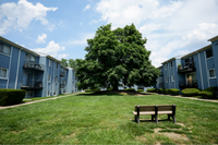 Arbor Lane Neighborhood