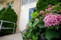 Trees and shrubs surrounding Woodmere Apartments
