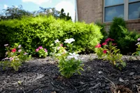 Well-kept landscaping at Woodmere Apartments in Roxborough
