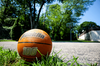 Inviting outdoor basketball court with a vibrant basketball resting on fresh green grass, surrounded by lush trees.
