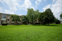 Charming apartment complex with lush green lawns and mature trees set against a bright blue sky.