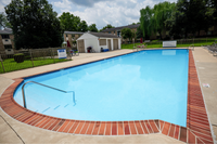 Inviting outdoor pool surrounded by lush greenery and a cozy seating area, perfect for summer relaxation.