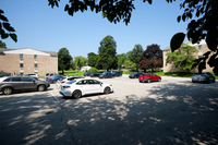 Charming residential parking lot surrounded by lush greenery and serene trees, highlighting convenience and natural beauty.