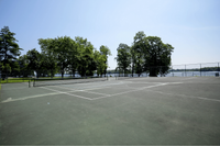Inviting outdoor tennis courts surrounded by lush greenery and offering scenic waterfront views.