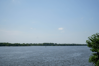 Serene riverside view showcasing expansive water, lush green banks, and a clear blue sky, ideal for a tranquil living experience.