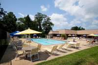 Vibrant outdoor pool area with yellow and blue umbrellas, sun loungers, and lush greenery, perfect for relaxation.