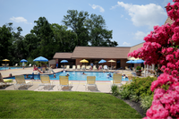 Inviting outdoor pool area with colorful umbrellas, sun loungers, and lush greenery, perfect for relaxation and leisure activities.