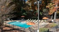 Sparkling Swimming Pool