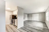 Open Layout