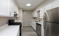 Stainless Steel Appliances