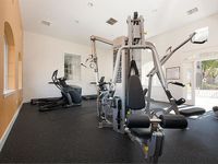 Bright and modern fitness center featuring state-of-the-art exercise equipment and natural lighting.