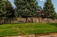 Inviting outdoor view of a lush, well-maintained grassy area with tall evergreen trees and a secure wrought iron fence, creating a serene and private environment for relaxation.