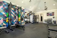 Modern fitness center with vibrant geometric wall art, featuring weight racks, a squat rack, and exercise benches for a complete workout experience.