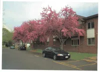 Charming brick apartment building surrounded by vibrant blooming pink trees, offering serene and picturesque living environment.