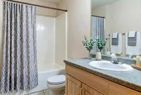 Bright and modern bathroom with elegant white sink, granite countertop, stylish patterned shower curtain, and fresh leafy decor.