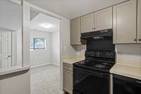 Charming kitchen with sleek beige cabinets, black appliances, and inviting open entry to a sunlit room with a cozy carpeted floor.