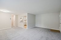 Spacious and bright living room with plush carpeting, open kitchen view, and modern lighting in a welcoming apartment.